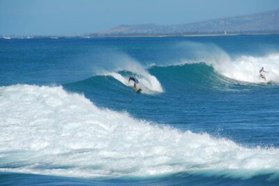 1.5-Hour Guided Whale Watching Tour - North Shore Stop: Surf Culture While You Look for Spouts and Fins