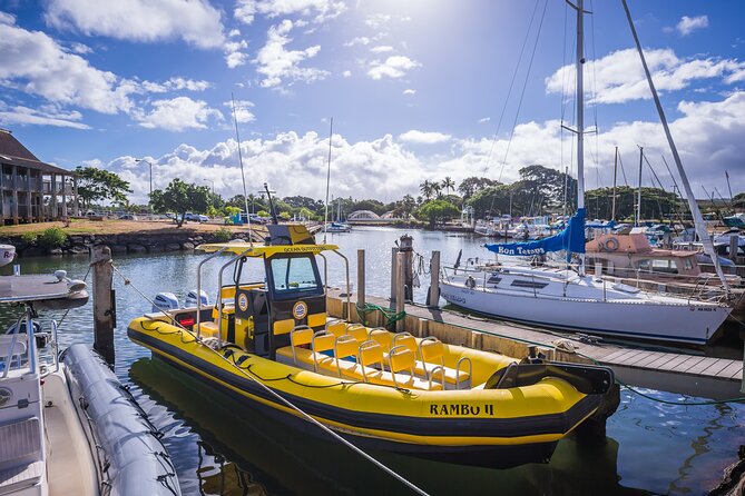 1.5-Hour Guided Whale Watching Tour - Price and Value Check: Is $99 Worth It?