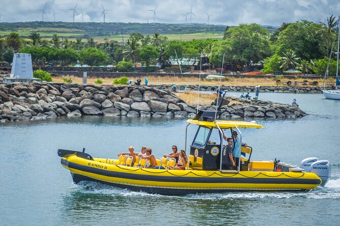 1.5-Hour Guided Whale Watching Tour - Who This Tour Fits Best (and Who Might Want a Different Style)