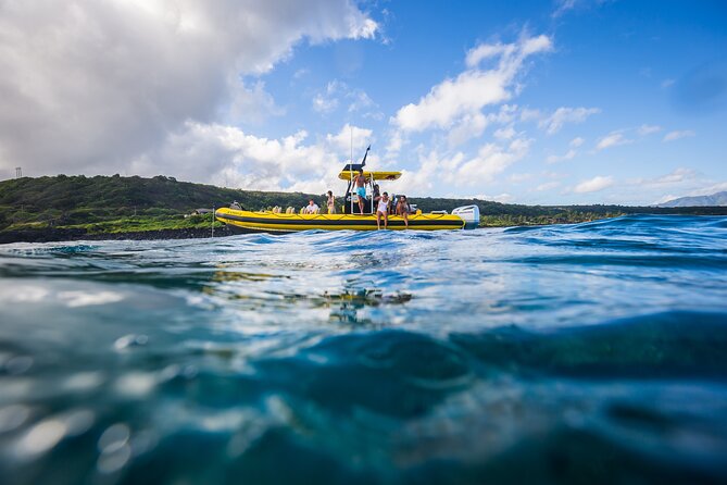 1.5-Hour Guided Whale Watching Tour - Should You Book This North Shore Whale Watching Tour?