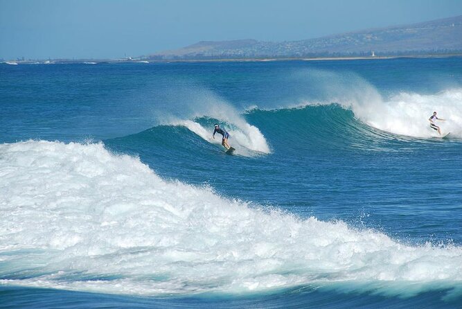 1.5-Hour Guided Whale Watching Tour - North Shore Stop: Surf Culture While You Look for Spouts and Fins