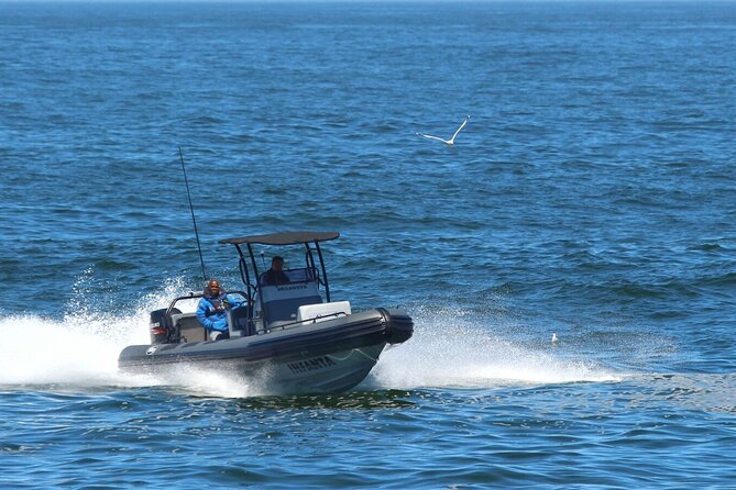 1 Day Whale Watching at Yzerfontein - Yzerfontein at 6:30am: a calm start before the Atlantic