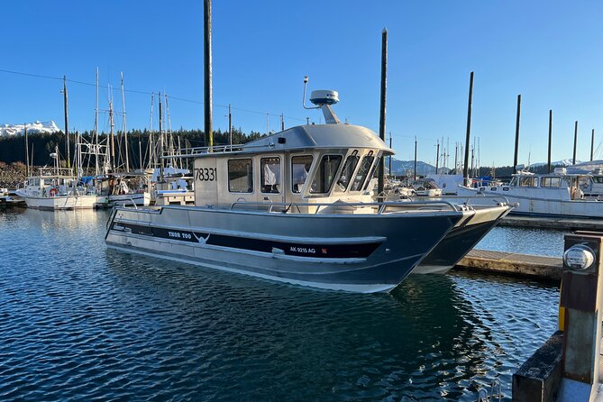 14 passenger Whale Watching Tours in Icy Strait aka Hoonah AK - Key points that make this whale watch click