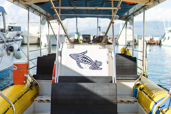 2.5 Hour Whale Escape Tour - What you’ll actually be doing on the boat