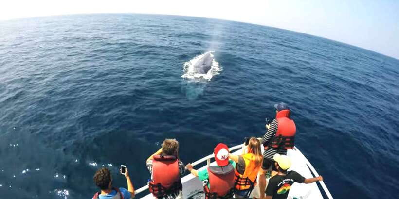 2-Day Whale Watching & Southern Sri Lanka Tour - Small group energy and your guide: why the name Sanjeewa Padmal matters
