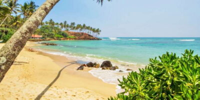 2-Day Whale Watching & Southern Sri Lanka Tour - Day 1 routing: Galle Fort, beaches, turtles, and the Bentota River safari