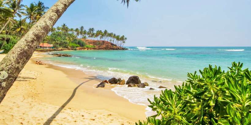 2-Day Whale Watching & Southern Sri Lanka Tour - Day 1 routing: Galle Fort, beaches, turtles, and the Bentota River safari