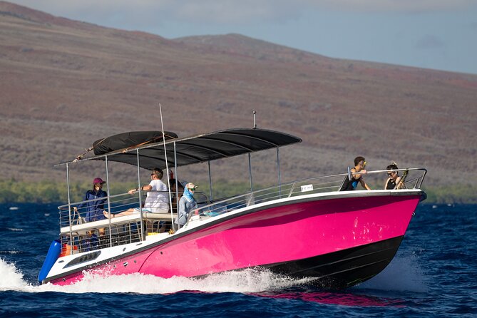 2 Hour Afternoon Lahaina Whale Watch - Value Check: What You’re Getting for a 2-Hour Cruise on Maui