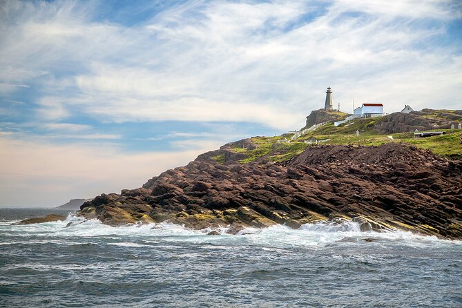2 Hour Award-Winning Whale and Seabird Boat Tour from St. John's - Fort Amherst Lighthouse and the port story: why St. John’s mattered early