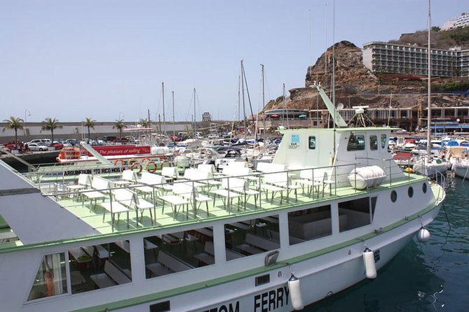 2-Hour Dolphin and Whale Watching in Gran Canaria - Price and value: is $42.05 worth it?
