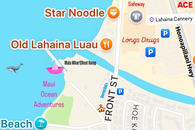 2 hour Lahaina Sunrise Whale Watch - When Photos Really Work: Sunrise Lighting and Viewing Strategy