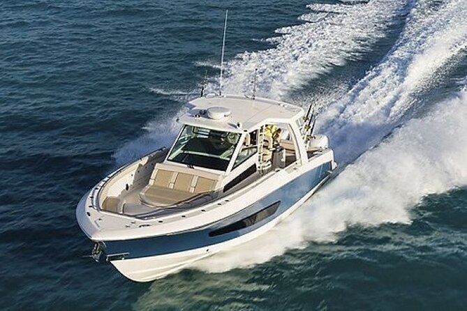 2-Hour Ma'alaea Humpback Whale Watching Cruise for up to 6 Guests - Tips so you get more from the two hours