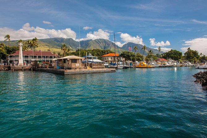 2-Hour Oahu Whale Watch from Ala Wai Harbor, Waikiki - From Ala Wai Harbor: quick boarding, real-time whale scanning