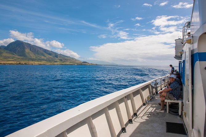 2-Hour Oahu Whale Watch from Ala Wai Harbor, Waikiki - Upper deck vs main cabin: where you’ll feel best in real weather