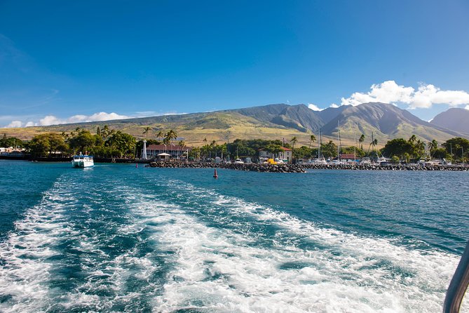 2-Hour Oahu Whale Watch from Ala Wai Harbor, Waikiki - Hydrophone listening: why you might hear whales before you see them