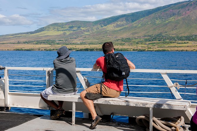 2-Hour Oahu Whale Watch from Ala Wai Harbor, Waikiki - BYOB and motion-sickness help: comfort choices you control