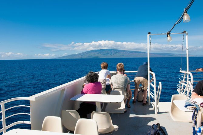 2-Hour Oahu Whale Watch from Ala Wai Harbor, Waikiki - Price and value: $49.95 for a short, efficient Waikiki whale watch