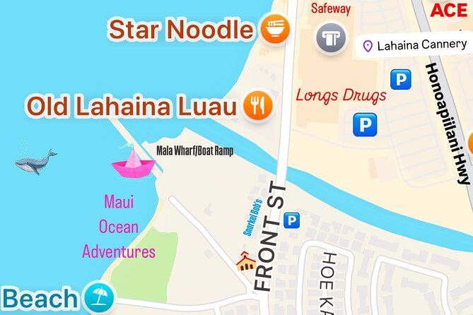 2 Hour Prime Time Maui Whale Watching - Key Things That Make This Tour Worth Your Time
