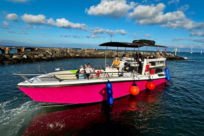 2 Hour Prime Time Maui Whale Watching - Close Encounters: Calves, Breaches, and Whale Song