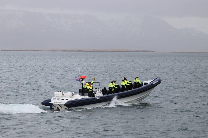2-Hour RIB Boat Whale Watching Tour from Reykjavik - Key Things I’d Plan Around