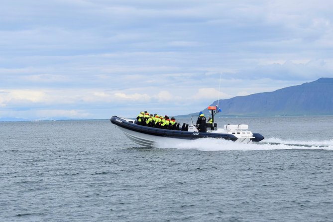 2-Hour RIB Boat Whale Watching Tour from Reykjavik - Akurey Puffin Island: The Summer Bonus Stop