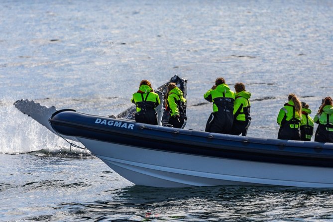 2-Hour RIB Boat Whale Watching Tour from Reykjavik - Who’s on the Boat: Small Group Dynamics That Actually Matter