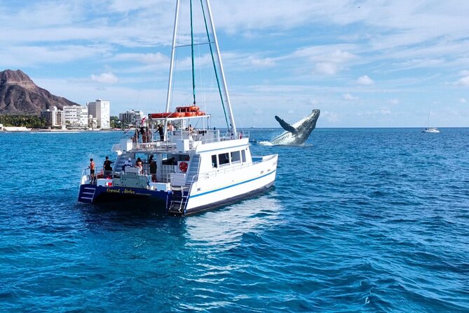 2 Hour Waikiki Whale Watching Cruise from Oahu - Key things to know before you go