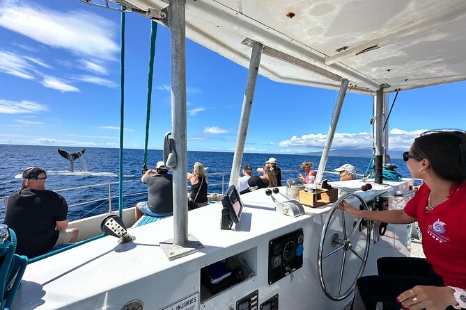 2 Hour Waikiki Whale Watching Cruise from Oahu - Waikiki whale watching from Ala Moana: what this cruise really delivers