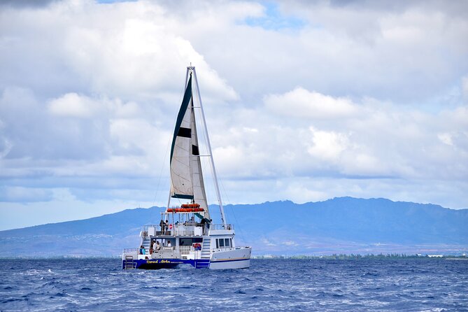 2 Hour Waikiki Whale Watching Cruise from Oahu - Price and value: $40 base plus fuel surcharge, and what you get in return