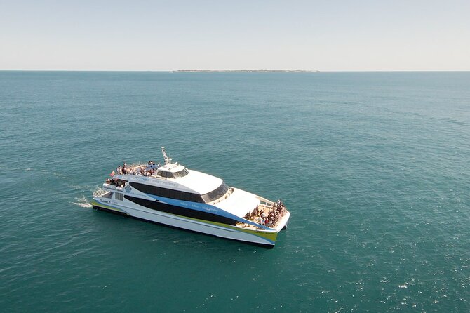 2 Hour Whale-Watching Cruise from Hillarys Boat Harbour - Key highlights at a glance