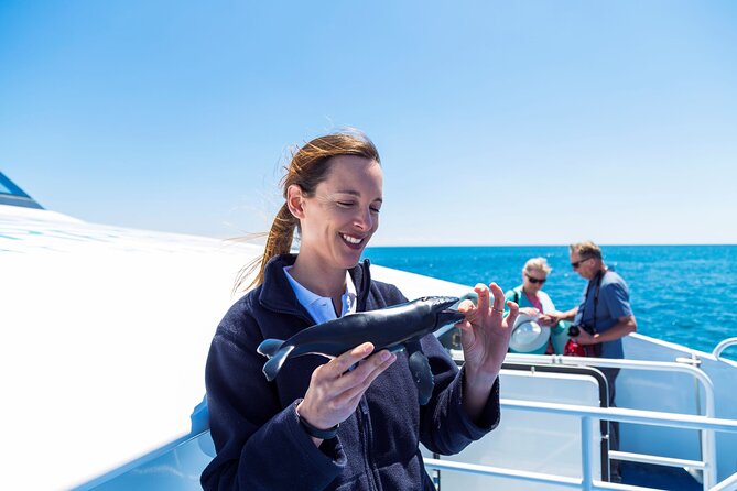 2 Hour Whale-Watching Cruise from Hillarys Boat Harbour - Onboard commentary and respectful whale etiquette (and why it matters)