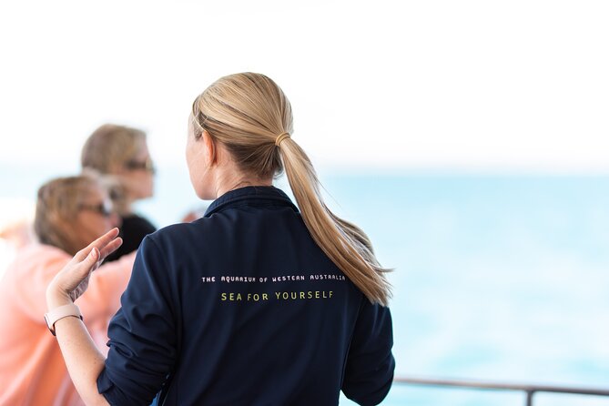 2 Hour Whale-Watching Cruise from Hillarys Boat Harbour - Getting there and back: Perth pickup vs making your own way