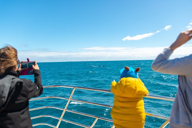 2 Hour Whale-Watching Cruise from Hillarys Boat Harbour - Sea conditions: pack like you’re going to the ocean, not just the coast