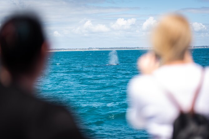 2 Hour Whale-Watching Cruise from Hillarys Boat Harbour - Who this tour is best for (and who should think twice)