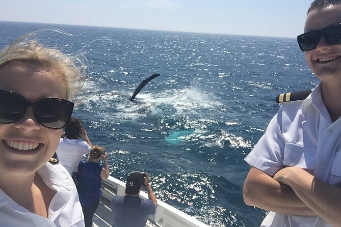 2 hour whale watching experience departing Hillarys Boat Harbour - Getting aboard: pickup, air-conditioning, and room to move