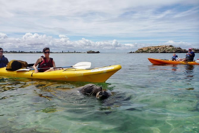 2 hour whale watching experience departing Hillarys Boat Harbour - The 2-hour schedule: what “approx.” really feels like on the water