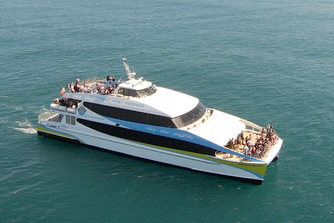 2 hour whale watching experience departing Hillarys Boat Harbour - Sea conditions and motion sickness: plan like a local