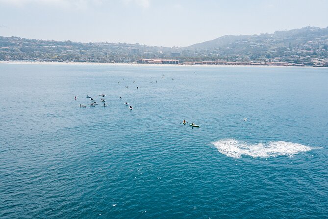 2 Hour Whale Watching Kayak Tour for Two - Check-in, gear, and the “be ready” routine