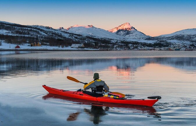 24hr Northern Lights & Whale Watching Cruise - A 24-hour Tromsø plan that actually fits a short trip