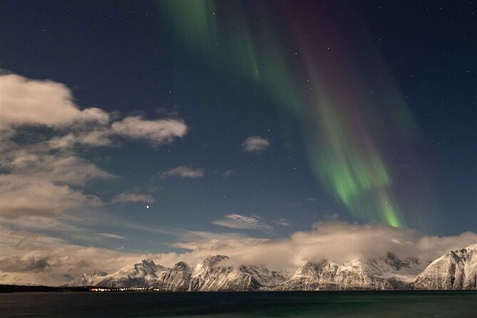 24hr Northern Lights & Whale Watching Cruise - Getting to the Norwegian Travel Shop: where the clock matters