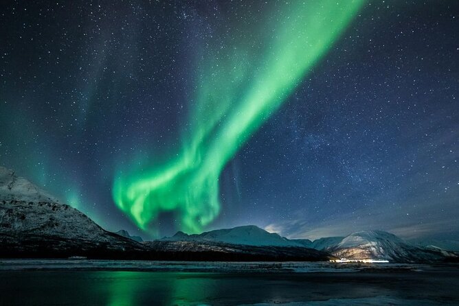 24hr Northern Lights & Whale Watching Cruise - Group size and the comfort factor (max 52 people)