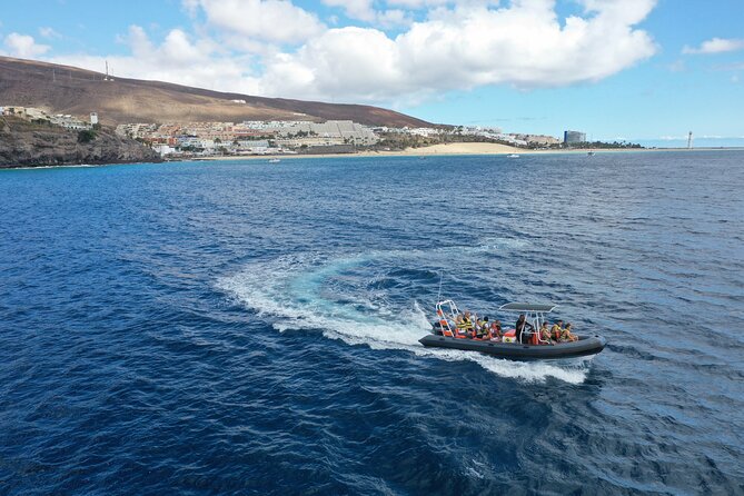 2h Dolphin and Whale Viewing + Snorkeling Tour - Speedboat rhythm from Morro Jable: what the 2 hours actually feels like