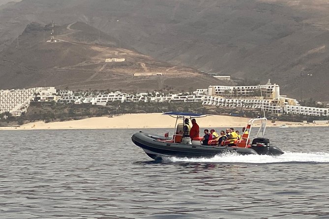 2h Dolphin and Whale Viewing + Snorkeling Tour - Crew energy, music, and the role of guides like Maurizio