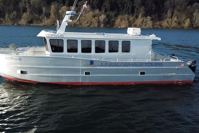 3.5 Hour Crowd-Skipping Whale Tour in Juneau, Alaska - Key points worth knowing before you go