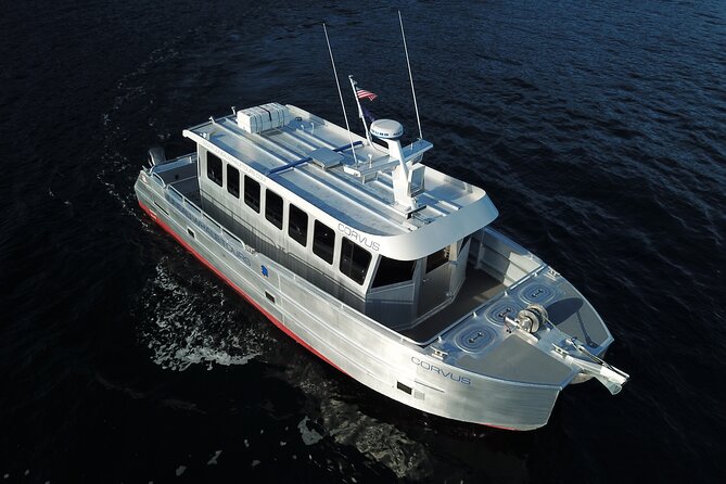 3.5 Hour Crowd-Skipping Whale Tour in Juneau, Alaska - Auke Bay Waters: What You’re Looking For On The 2.25-Hour Search