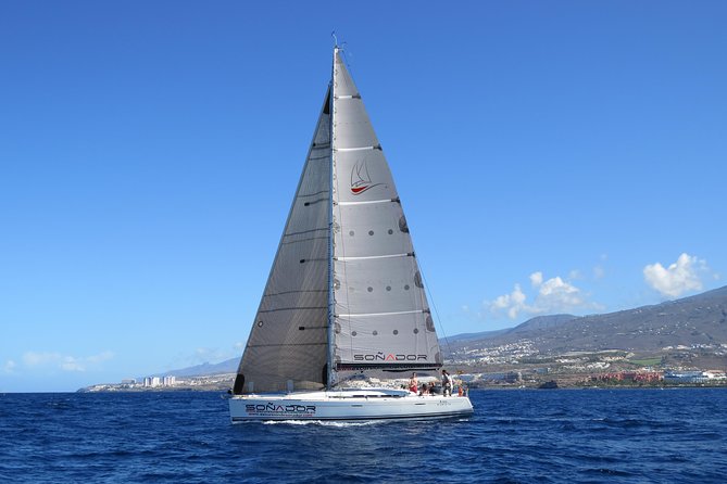 3 Hours All Inclusive Whale and Dolphin Whatching Yacht Trip - Getting On the Soñador: Where This Trip Starts and How Easy It Feels