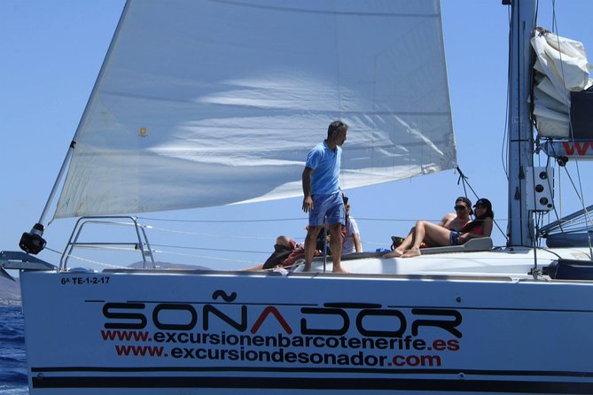 3 Hours All Inclusive Whale and Dolphin Whatching Yacht Trip - Price and Value: What $52.36 Buys You in Real Terms