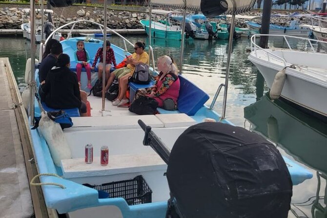 3 Hours of Whale Watching in Puerto Vallarta - Who should book this whale watching trip (and who might skip it)