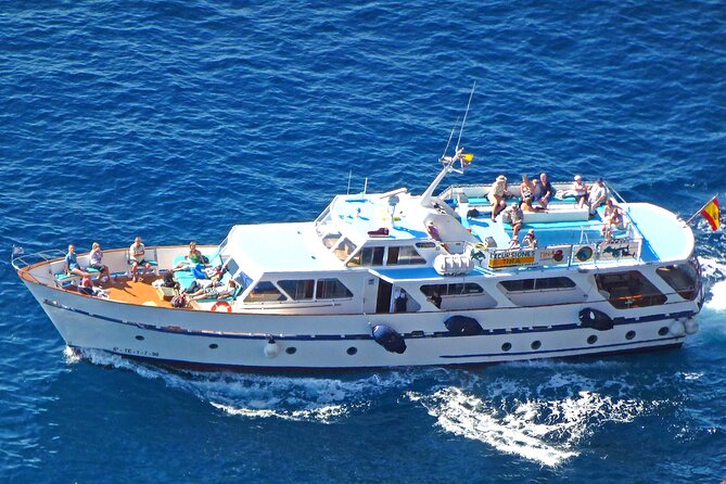 3 hrs Boat Excursion for whale watching from Valle GR (La Gomera) - Key highlights at a glance
