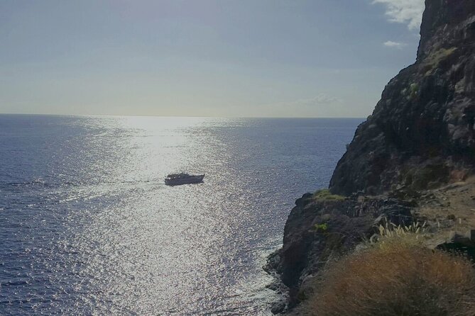 3 hrs Boat Excursion for whale watching from Valle GR (La Gomera) - Tapas and drinks on board: fueling a 3-hour sea outing